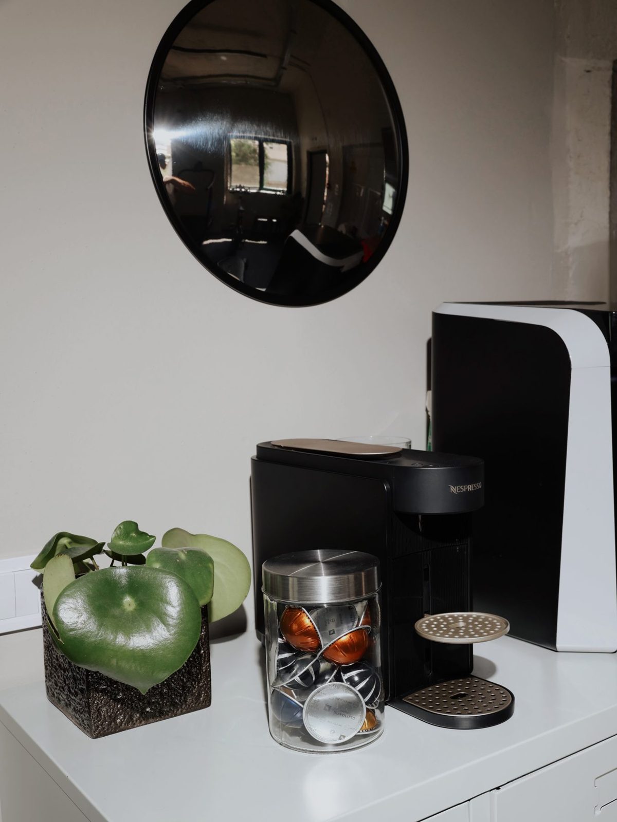 Coffee machine, plant and capsules on a white cabinet
